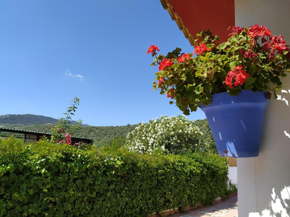 Villa Frasquita Priego De Cordoba Bagian luar foto