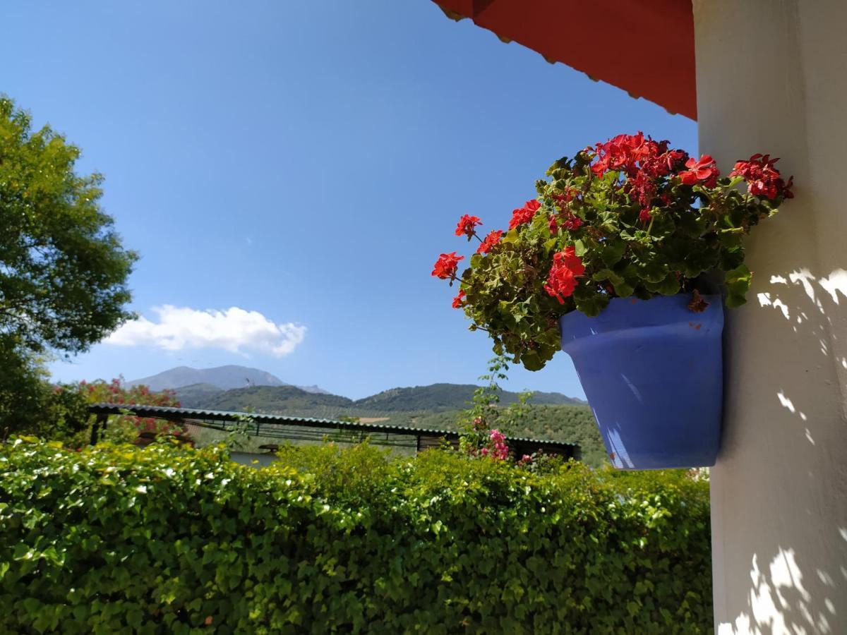 Villa Frasquita Priego De Cordoba Bagian luar foto
